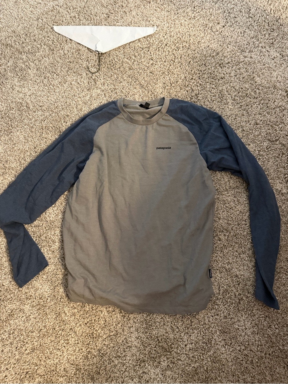 Patagonia Long-Sleeve Raglan Shirt in Gray and Blue